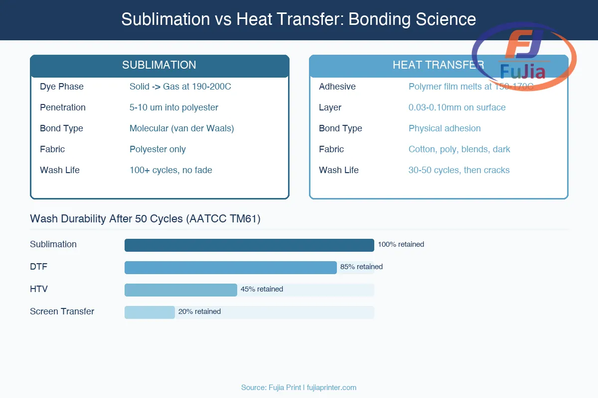 Scientific diagram showing sublimation dye infusion vs heat transfer adhesive bonding